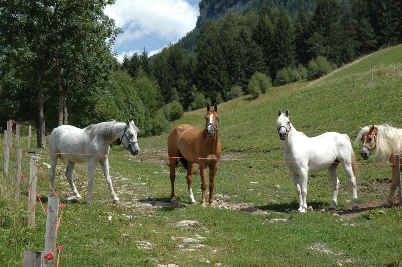 Tomasoethof Villa Castelrotto Bagian luar foto