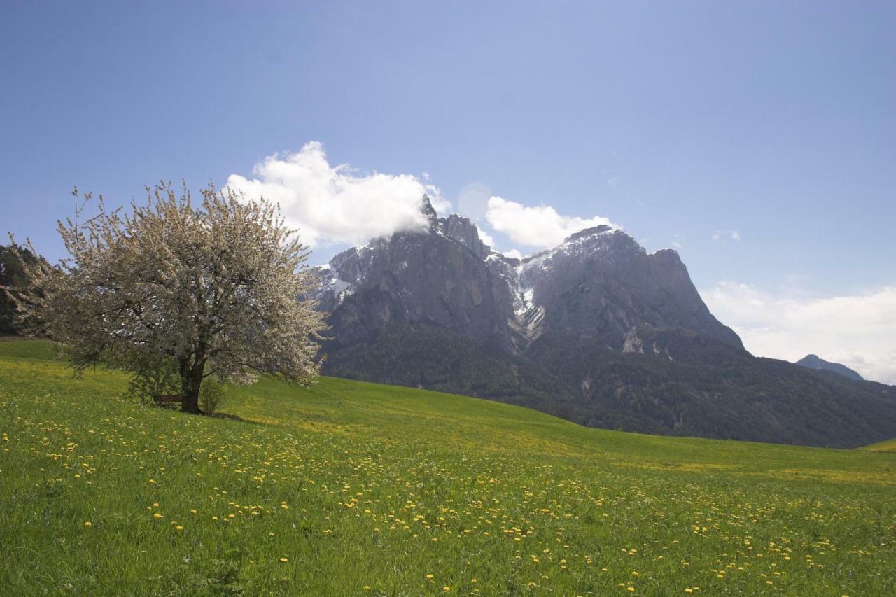 Tomasoethof Villa Castelrotto Bagian luar foto